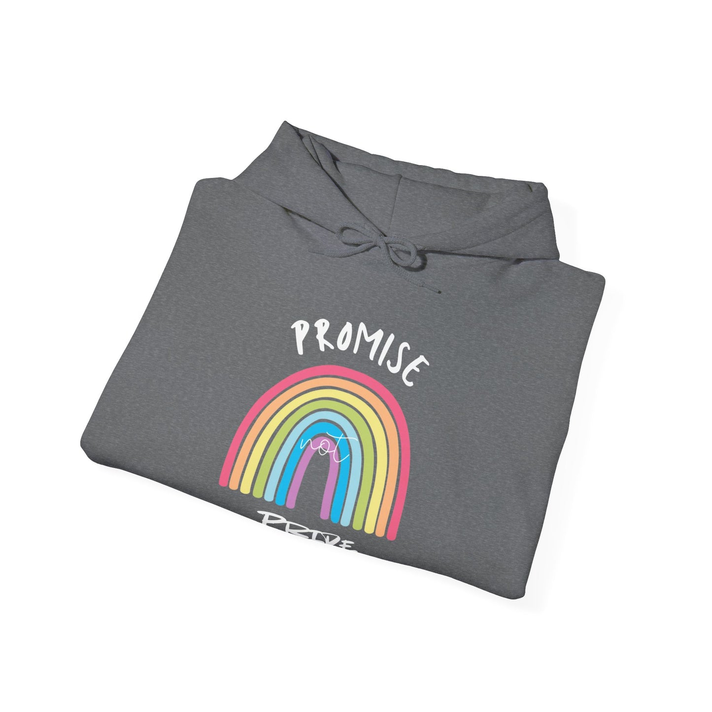 "Promise Not Pride" Hoodie