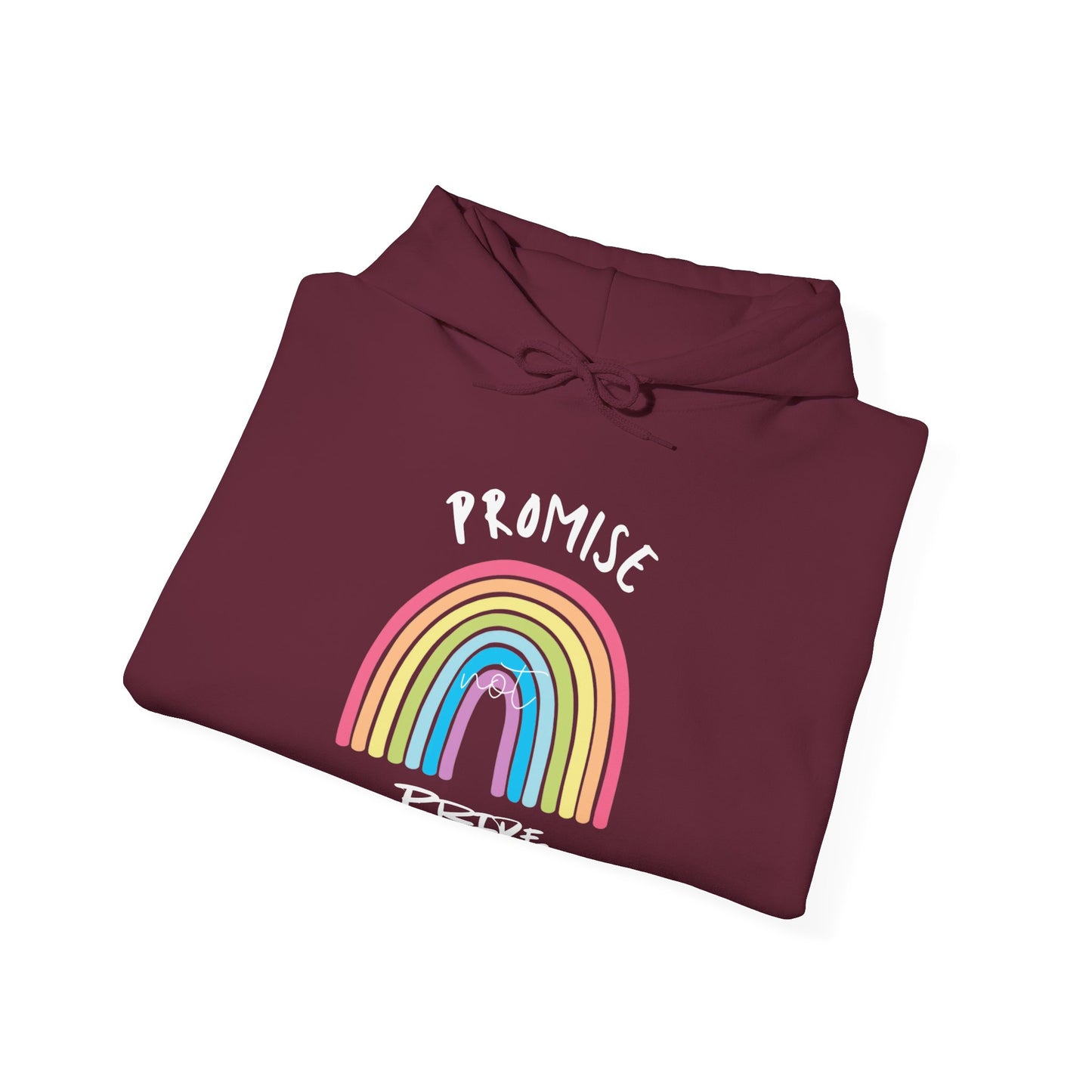 "Promise Not Pride" Hoodie