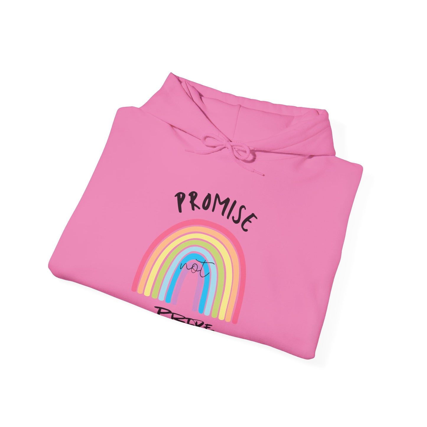 "Promise Not Pride" Hoodie