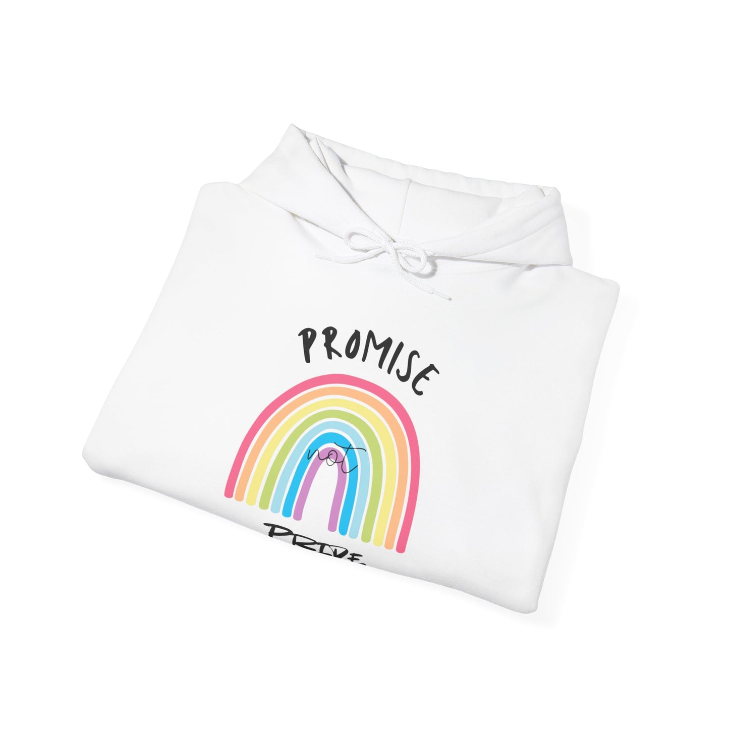 "Promise Not Pride" Hoodie