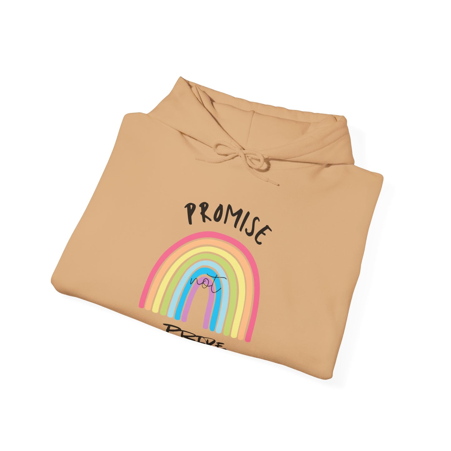 "Promise Not Pride" Hoodie